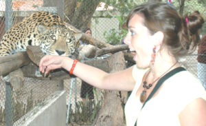 Gemma and the jaguar 05.10PhBlVc.