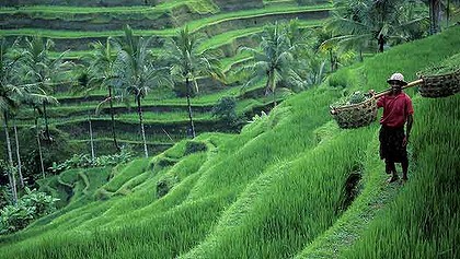 Ubud