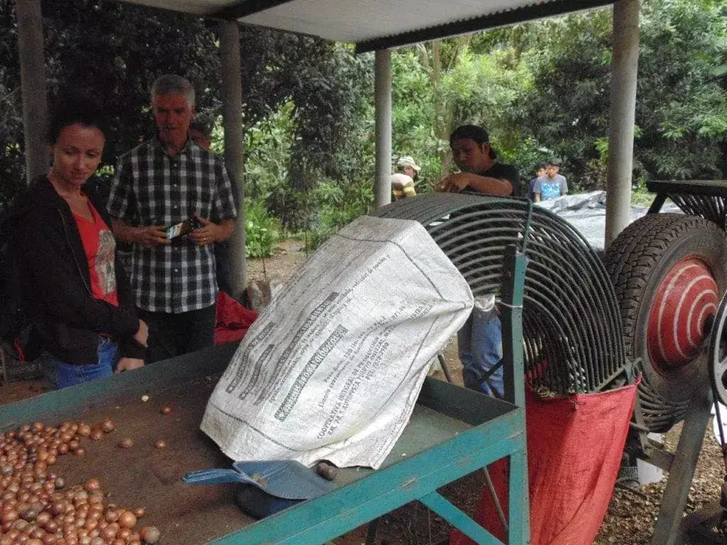 putting the beans through the machine