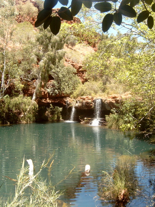 australia kakadu adventure