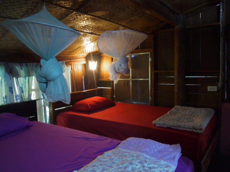 elephant center accommodation