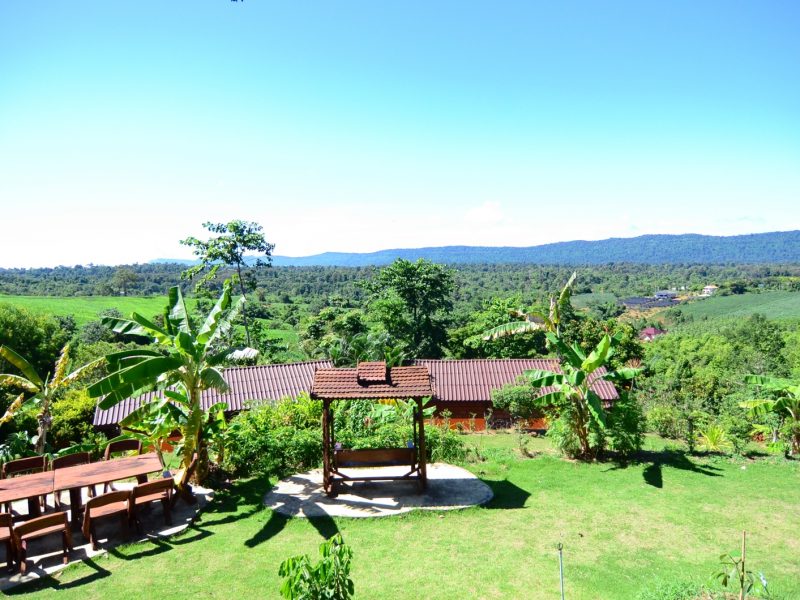 Common area in garden