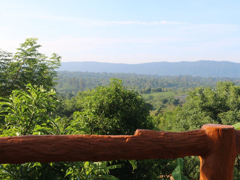 View from terrace