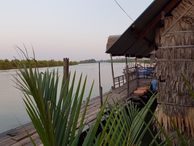 mangrove conservation cambodia