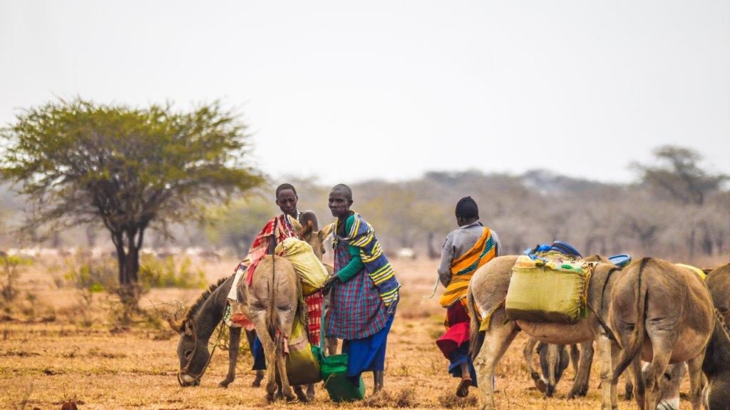 local Maasai men on farmland, Tanzania