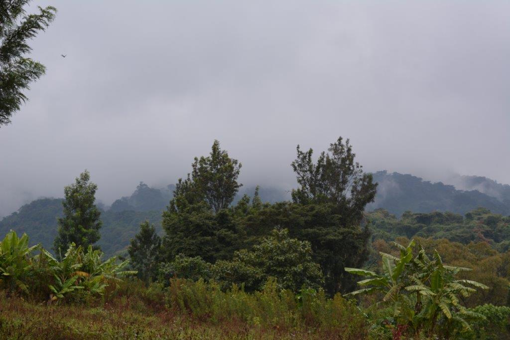 Iringa and Ruaha National Park