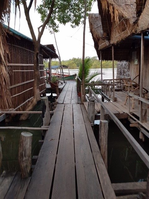 mangrove conservation cambodia