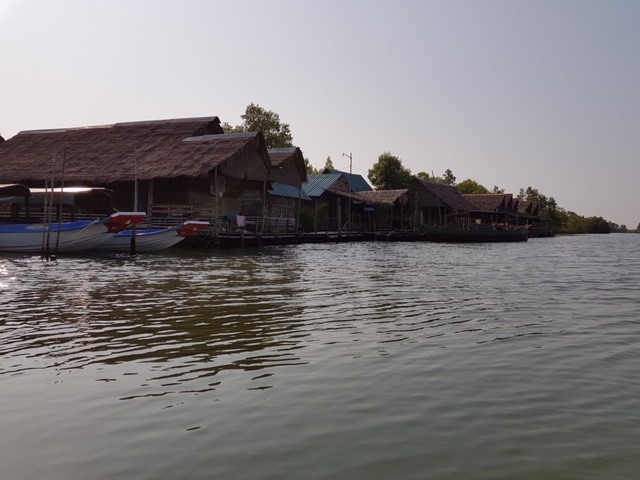 mangrove conservation cambodia