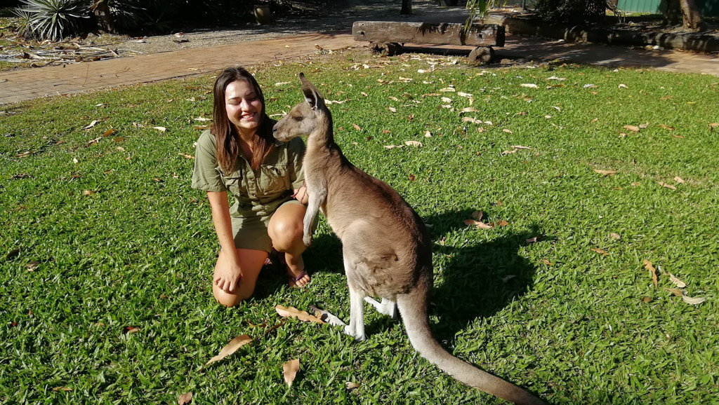 Australian zoo volunteering (2)