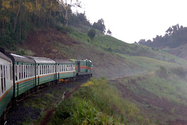 Train Travel