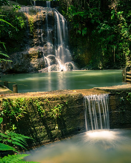 Colo-i-Suva Forest Park