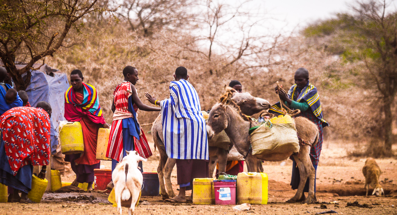 Maasai men strapping up donkeys