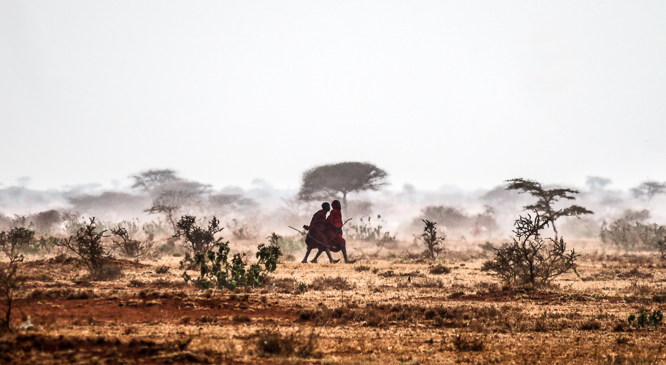 Maasai men walking the farmland