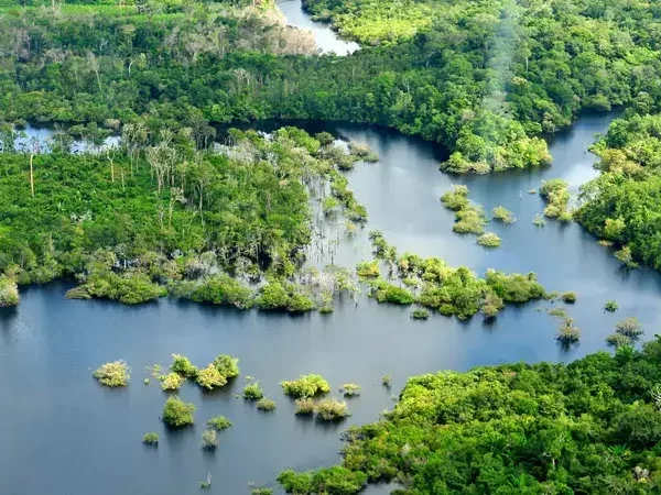 amazon-jungle-shot-with-beautiful-river-mouth-and-green-forests-dotted-throughout