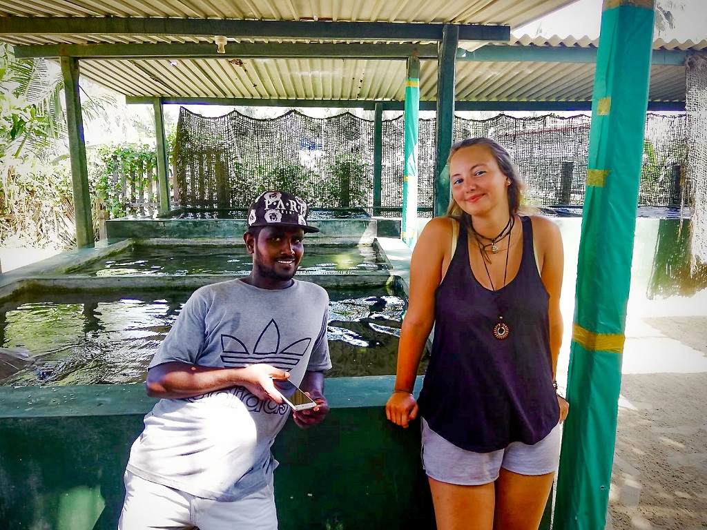 at the tutle santuary in Ambalangoda