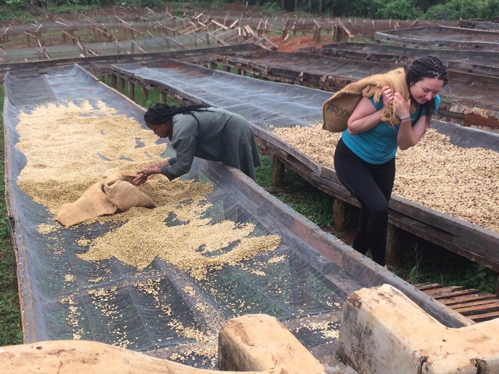 bagging up crops on Kenya farming project