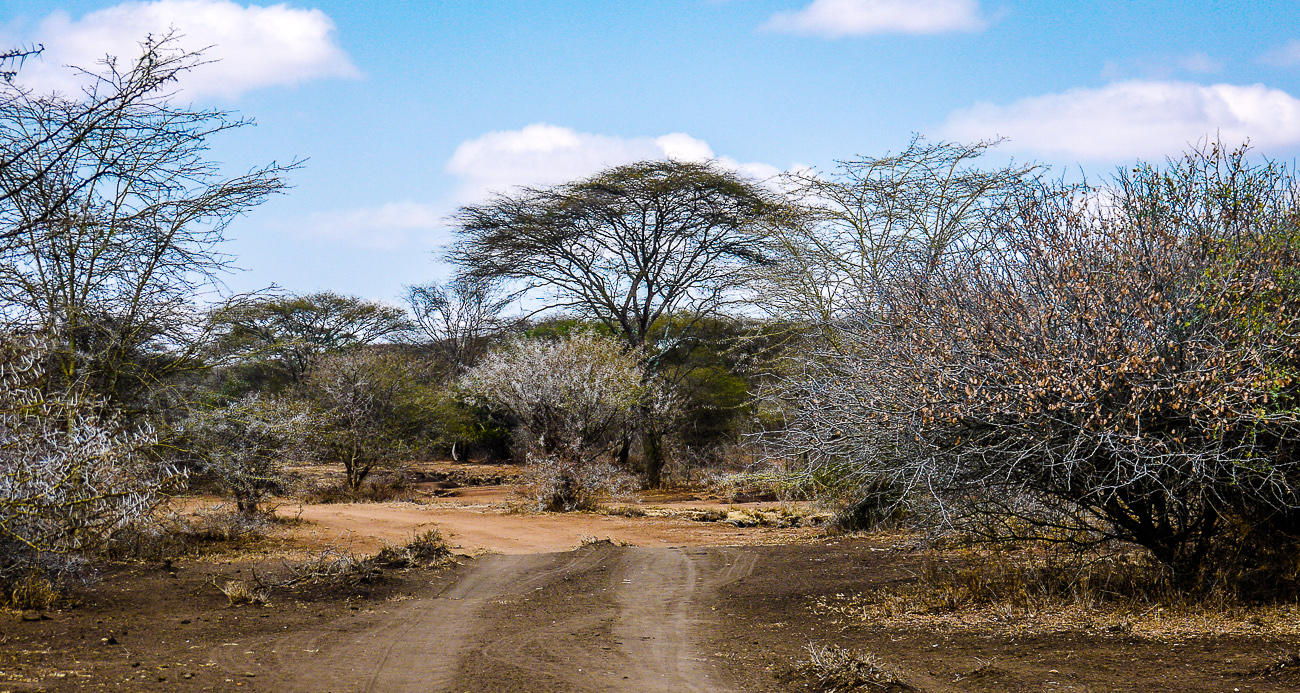 local land in Tanzania