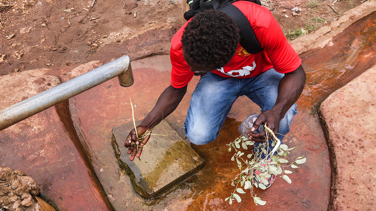 man washing plants under tap