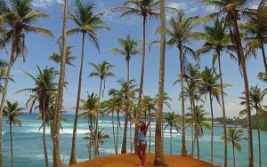 palm trees overlooking ocean from viewpoint