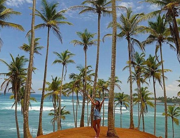 palm trees overlooking ocean from viewpoint