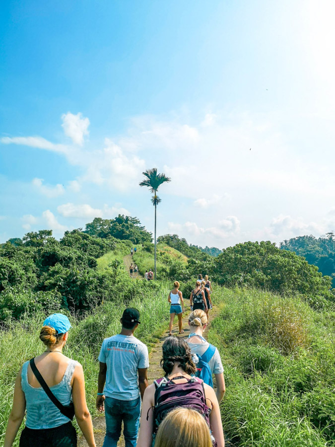 walking through rice paddies-2