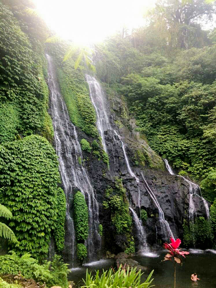 waterfall in lush rainforest