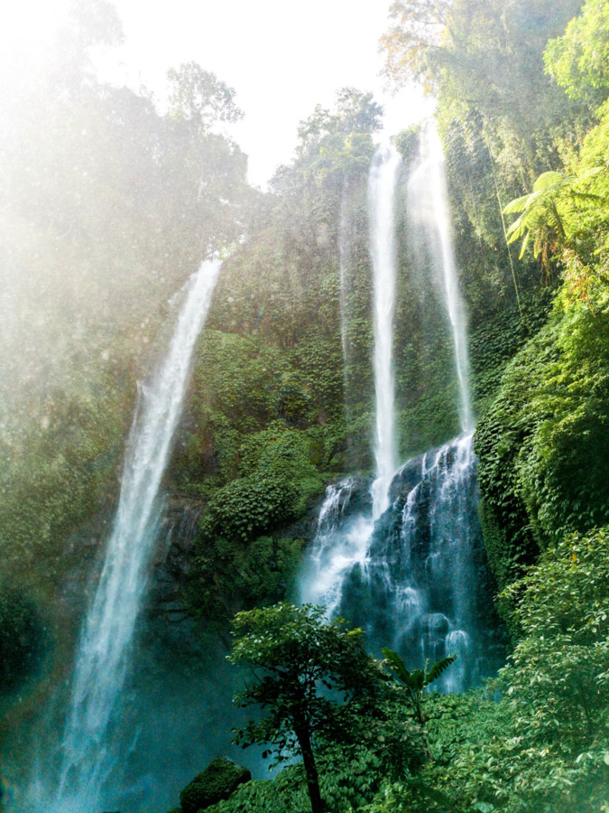 waterfall surrounded by green trees-2