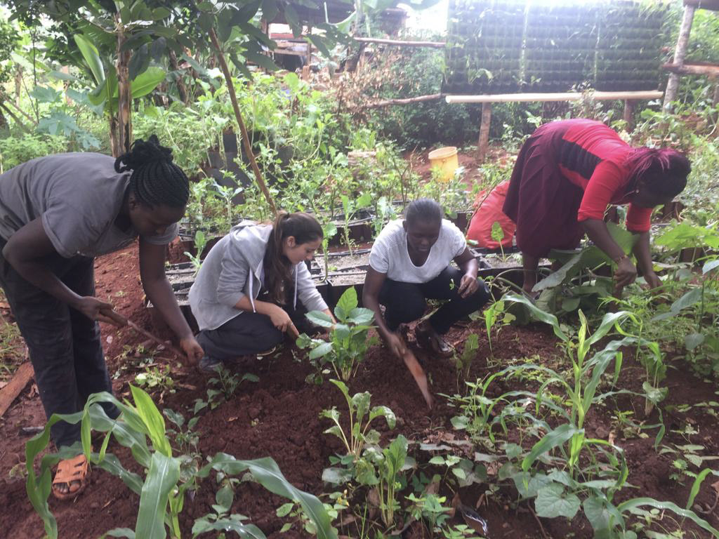 Participants working in the local farm