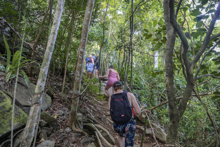 walking through jungle