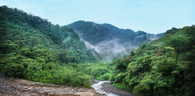 clouds over rainforest canopy