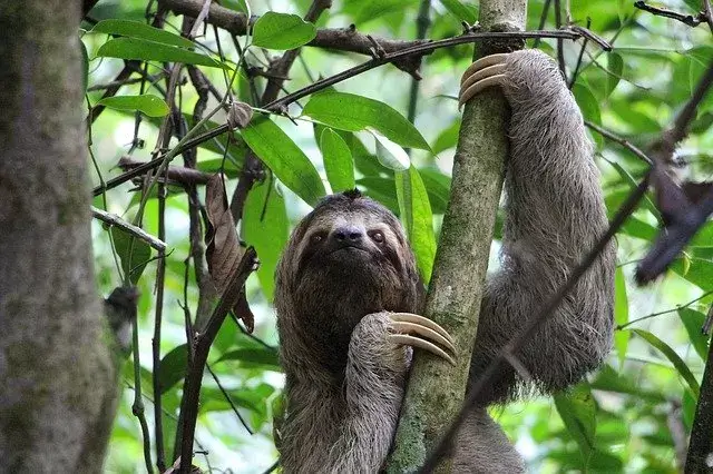 Parque Nacional Manuel Antonio