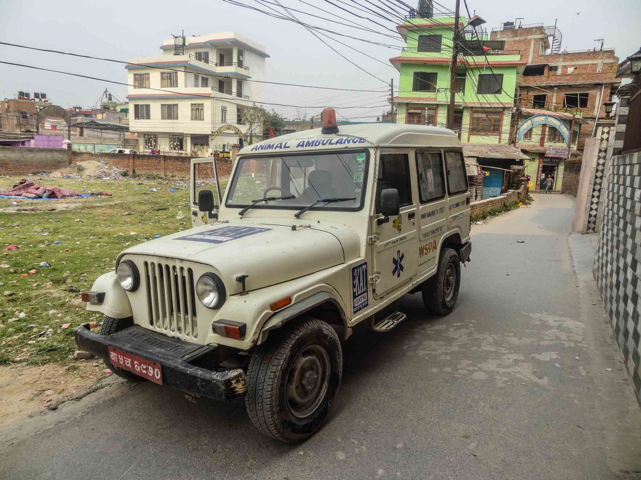 dog ambulance nepal