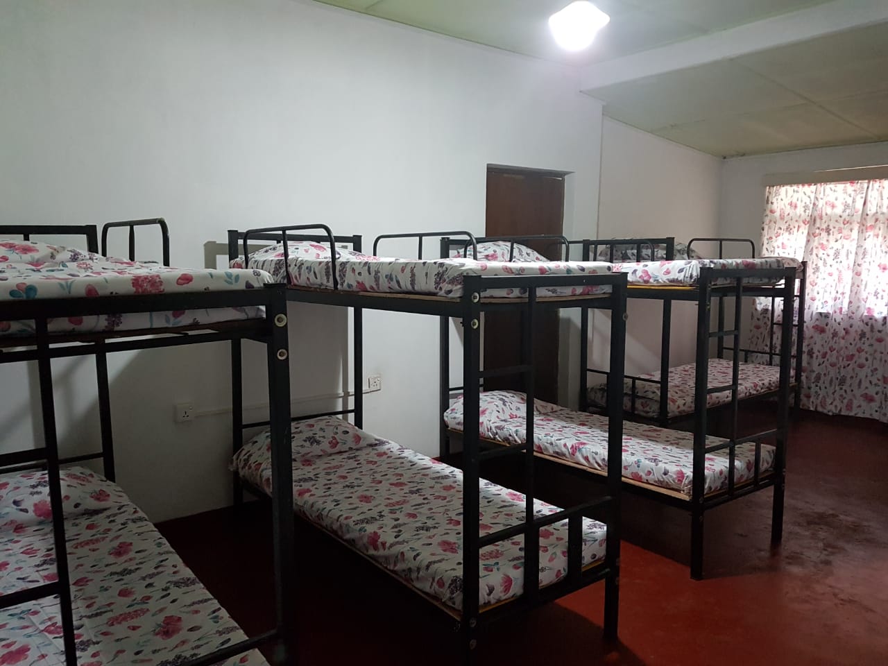 Ella Accommodation bunk beds