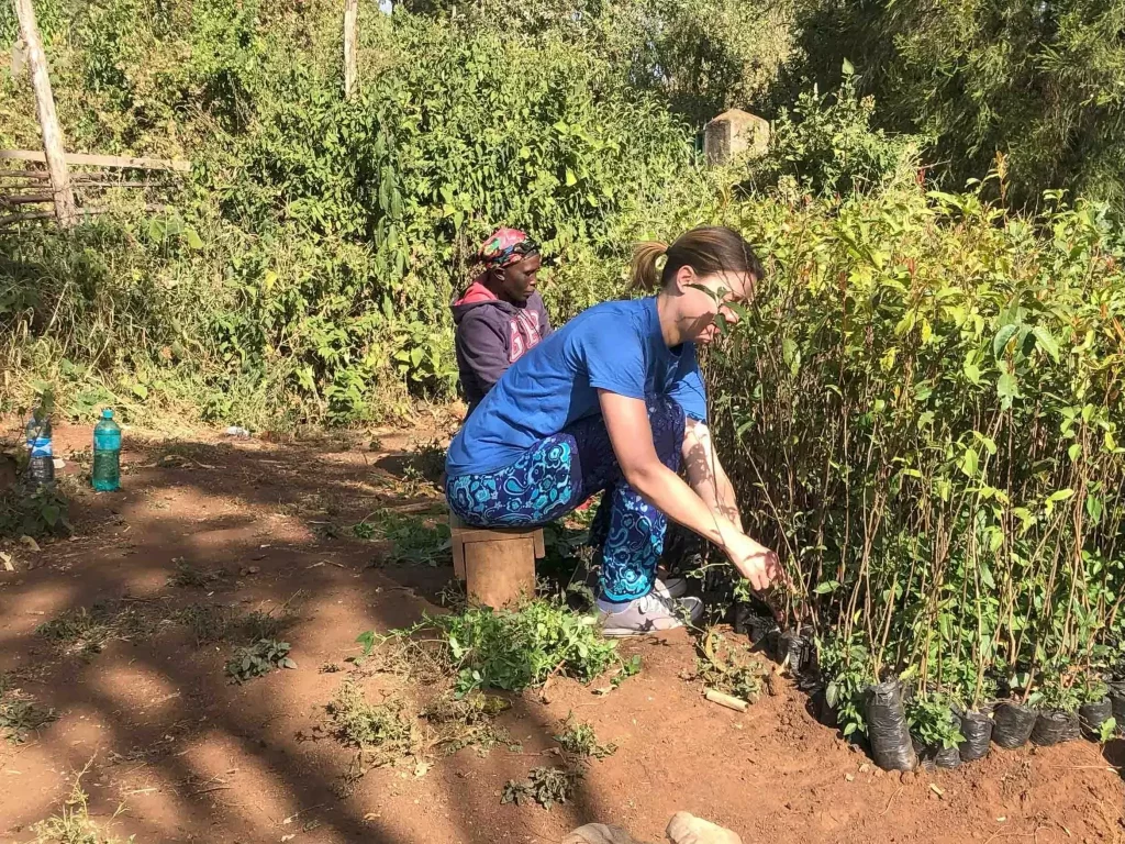 planting trees