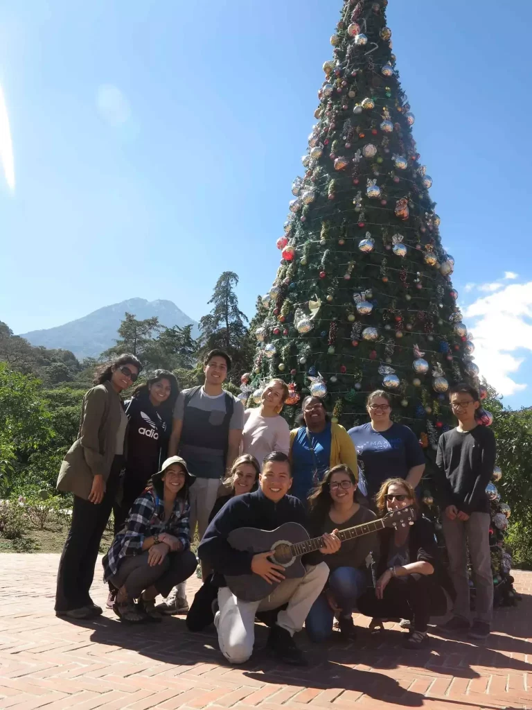 group by xmas tree in guatemala