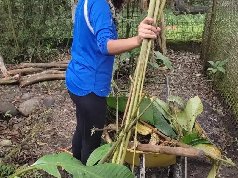 chopping-leaves-Los-jaguares-9