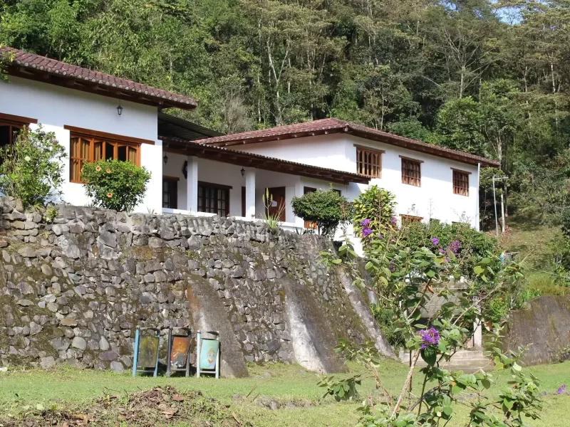 foundation-house-in-Quito-small