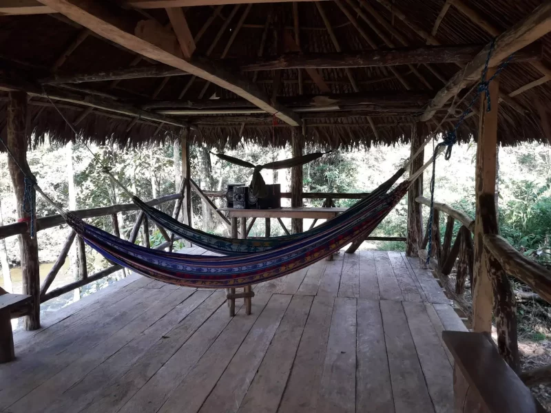 jungle-hammocks-scaled-1