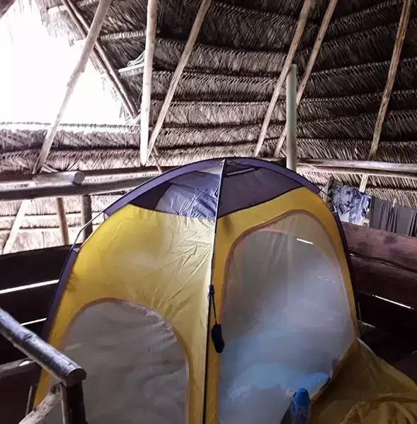 tent-2