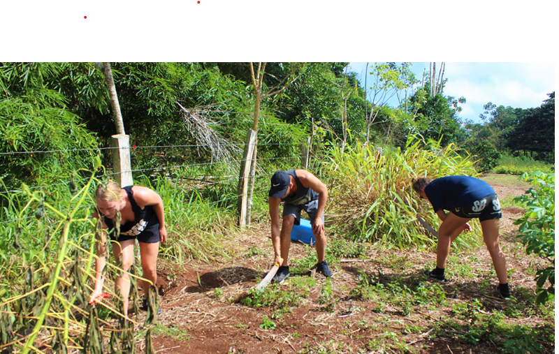 Proyecto Galapagos