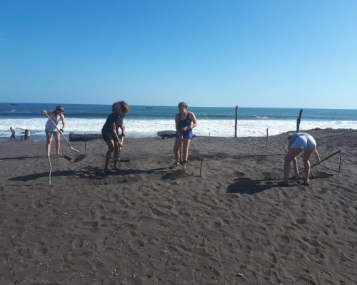 raking the beach