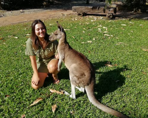 Australian zoo volunteering (2)