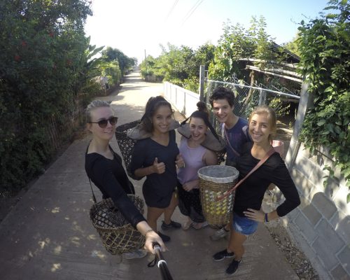 Carrying food for the elephants