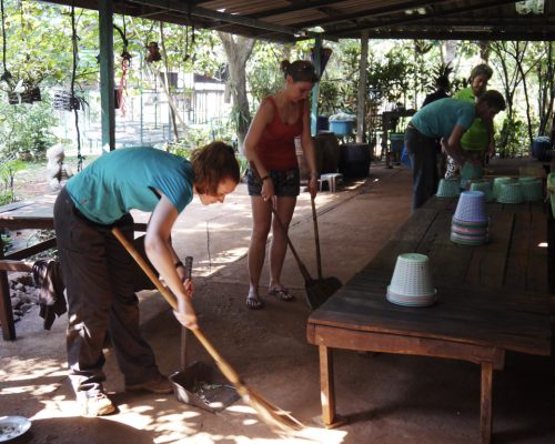 Cleaning gibbon's kitchen after food preparation