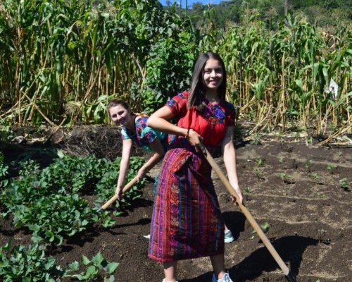 digging on the farm