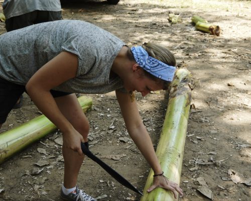 Cutting food for the elephants