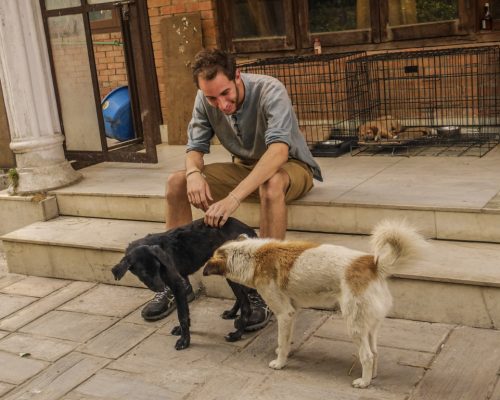 man with dogs