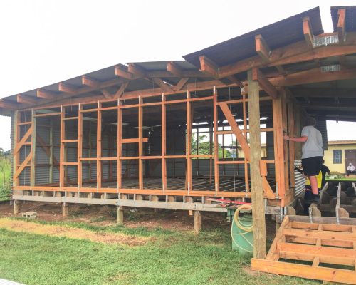 IVI volunteer at Fiji remote building project