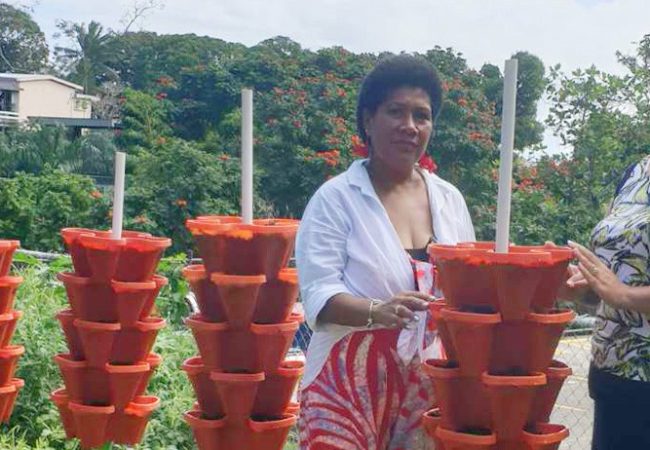 Fiji women with vertical garden