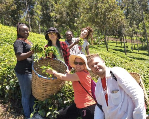 Group photo at tea farm